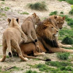 Meet your Posher, Matt